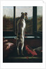 Waiting by Julia Bracewell Folkard