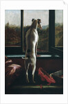 Waiting by Julia Bracewell Folkard