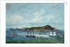 View of Hong Kong, c.1860 by Tinqua