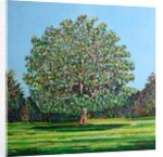 Bow Tree Summer, by Noel Paine