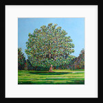 Bow Tree Summer, by Noel Paine