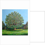 Bow Tree Summer, by Noel Paine