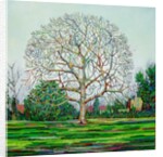 Bow Tree Winter, by Noel Paine