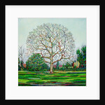 Bow Tree Winter, by Noel Paine