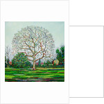 Bow Tree Winter, by Noel Paine