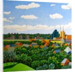 Tate and Lyle by Noel Paine