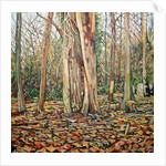 Winter Trunk, 2010 by Noel Paine