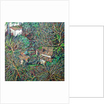 Anticoli Corrado, Winter, 2011 by Noel Paine