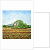 Appia Antica House by Noel Paine
