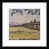 Aquaduct, by Noel Paine