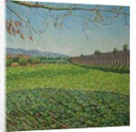 Aqueduct Park, 2011 by Noel Paine