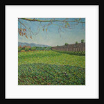 Aqueduct Park, 2011 by Noel Paine