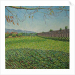 Aqueduct Park, 2011 by Noel Paine