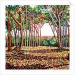 Line of Trees, 2009 by Noel Paine