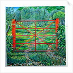 Red Gate, Summer, 2010 by Noel Paine