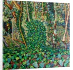 The Wrens Tomb, by Noel Paine