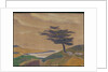 The Shore by Nicholas Roerich