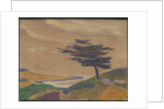 The Shore by Nicholas Roerich