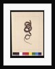 Page 20. Snake No.1. Now known as a Brown Snake, c.1789-90 by Sarah Stone