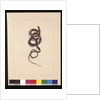 Page 20. Snake No.1. Now known as a Brown Snake, c.1789-90 by Sarah Stone