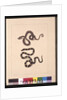 Page 21. Snakes No. 1 & No.2. Now known as a Young diamond snake & a Bandy bandy, c.1789-90 by Sarah Stone