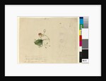 Page 80. Sterculia diversifolia, c.1803-06 by John William Lewin