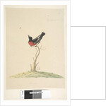 Page 25. Car,ral,gar,yei,sar by Unknown artist