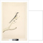 Page 60. June by Unknown artist