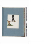 Page 107. Unidentified Bird by Unknown artist