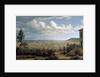 Hobart Town, c.1832 by John Glover