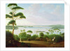 Sydney Harbour looking towards Sydney, 1848 by Jacob Janssen