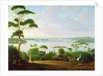 Sydney Harbour looking towards Sydney, 1848 by Jacob Janssen