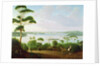 Sydney Harbour looking towards Sydney, 1848 by Jacob Janssen