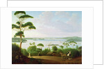 Sydney Harbour looking towards Sydney, 1848 by Jacob Janssen