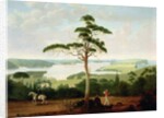 Sydney Harbour looking towards the Heads, 1848 by Jacob Janssen