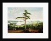 Sydney Harbour looking towards the Heads, 1848 by Jacob Janssen