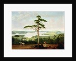 Sydney Harbour looking towards the Heads, 1848 by Jacob Janssen