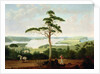 Sydney Harbour looking towards the Heads, 1848 by Jacob Janssen