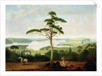 Sydney Harbour looking towards the Heads, 1848 by Jacob Janssen
