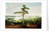 Sydney Harbour looking towards the Heads, 1848 by Jacob Janssen