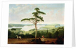 Sydney Harbour looking towards the Heads, 1848 by Jacob Janssen
