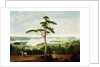 Sydney Harbour looking towards the Heads, 1848 by Jacob Janssen