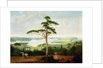 Sydney Harbour looking towards the Heads, 1848 by Jacob Janssen
