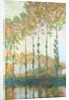 Poplars on the banks of the Epte, Autumn, 1891 by Claude Monet