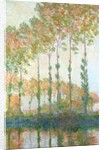 Poplars on the banks of the Epte, Autumn, 1891 by Claude Monet