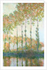 Poplars on the banks of the Epte, Autumn, 1891 by Claude Monet