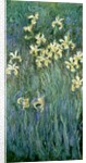 The Yellow Irises by Claude Monet