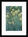 The Yellow Irises by Claude Monet