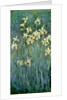 The Yellow Irises by Claude Monet