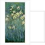 The Yellow Irises by Claude Monet